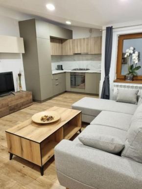 Cozy apartment near city center